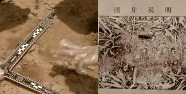  民警|妻子杀夫逃亡30年！年近古稀被捕，被害人竟被藏在……