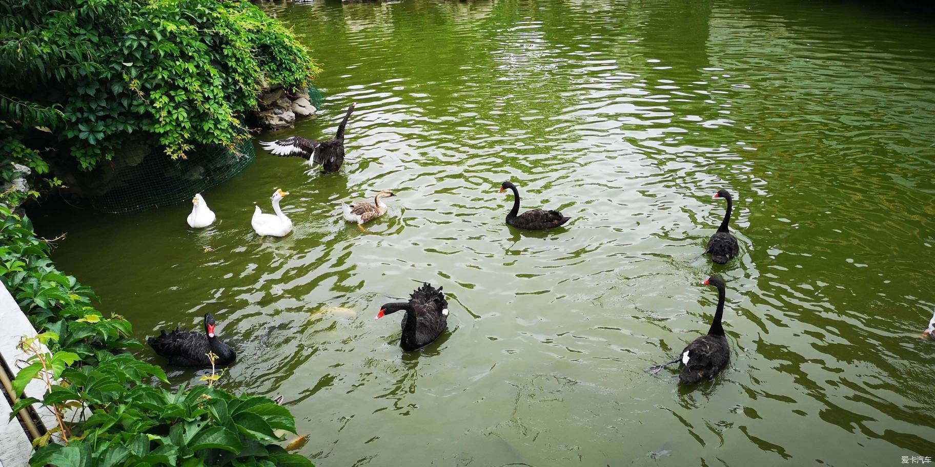  博物馆|游览中国园林博物馆