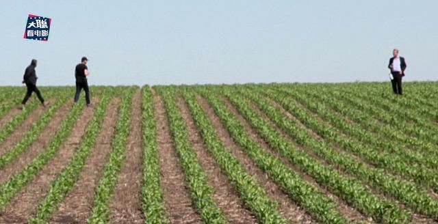 穿越|《星际穿越》深度彩蛋分析!为何选玉米为末日谷物原来还有这操作