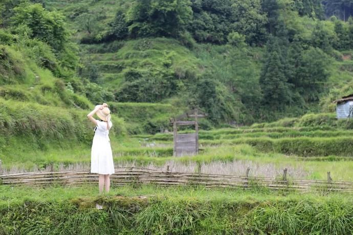黄岗|村光灿烂 | 如果认识陶渊明,我一定让他到黄岗来。