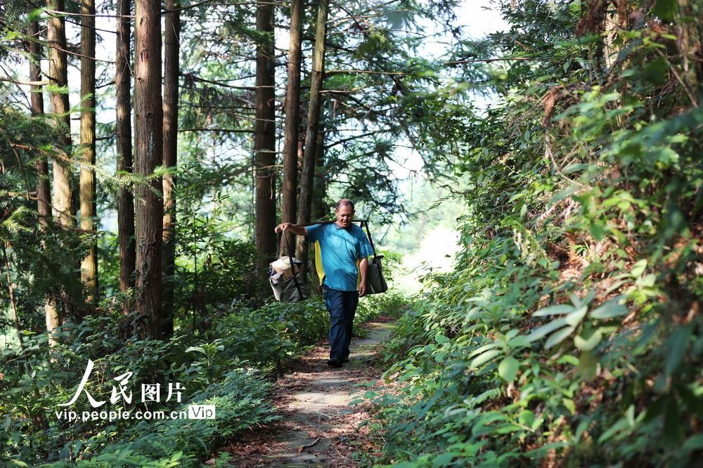 张林昌|贵州锦屏：大山里的乡邮员