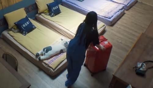  摩托车|《向往的生活》最轻松嘉宾，骑摩托车来，行李都有专人送