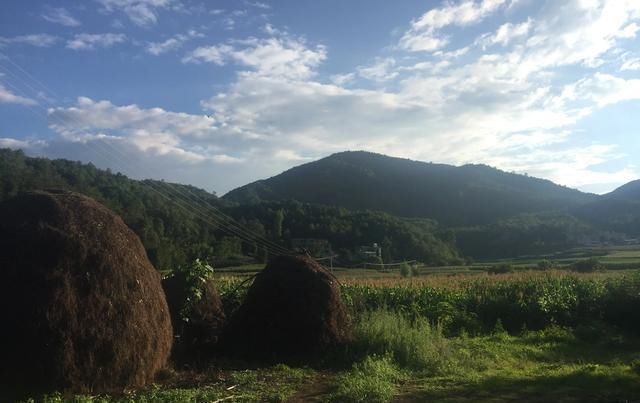 农村老人|生活在农村七老八十的农民老人们，他们主要有哪些养老方式养老