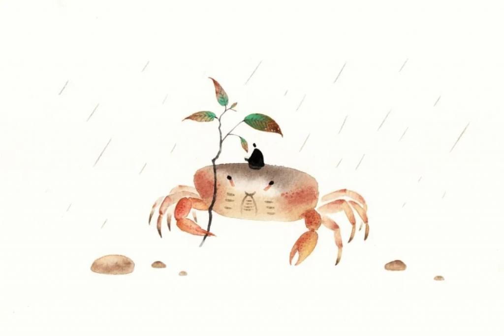  值得|万物可期，人间值得