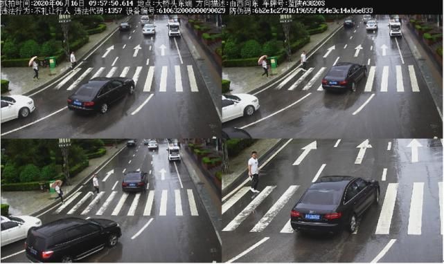 交通|●黄陵未礼让行人交通违法行为大曝光