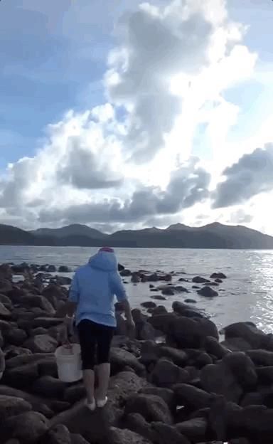  奶奶|那些从大城市消失的年轻人，躲进了深山拍抖音。