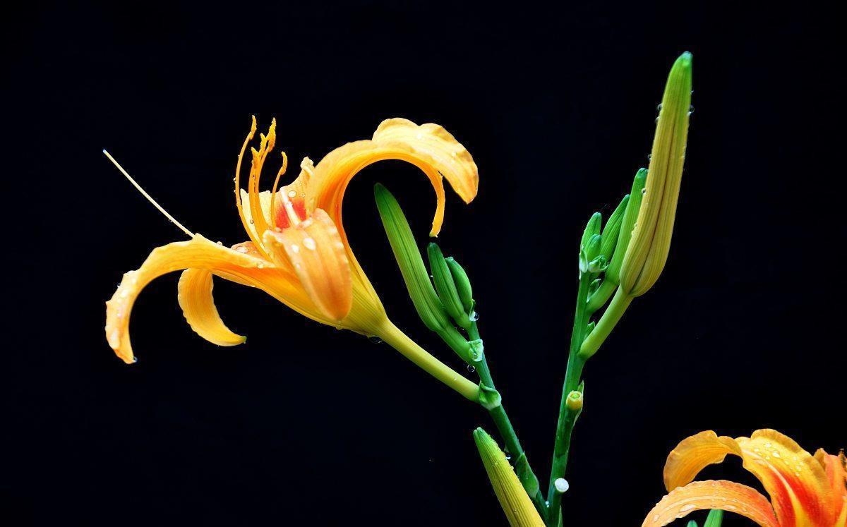 语录|情感语录:人生无常,且行且珍惜