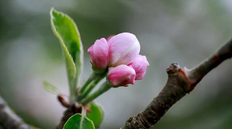 贵人|属鼠人: 明天7月16号的贵人名单已列出, 终于熬到头, 请珍惜!