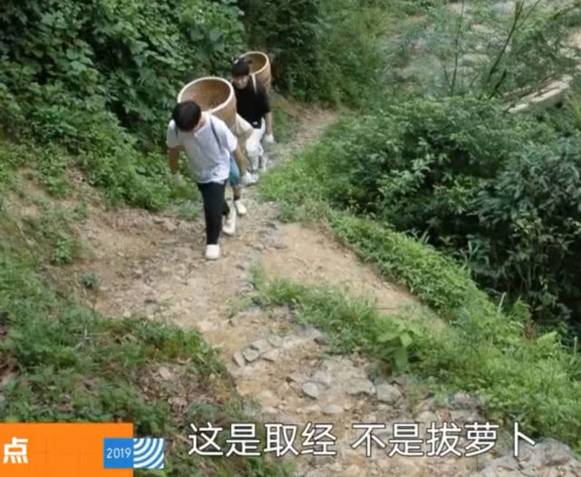  黄磊|《向往3》首次迎来黄磊接班人，看他的表现，导演后悔没早请他来