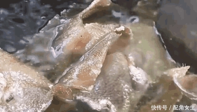 获赞|中国的垃圾食品, 落入外国人之手, 获赞连绵不绝成为火爆菜品!