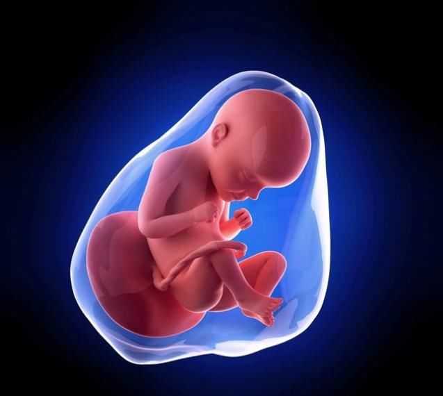  怀胎|怀胎十月，胎儿每天在肚子里都干些什么？看完感觉好有爱！