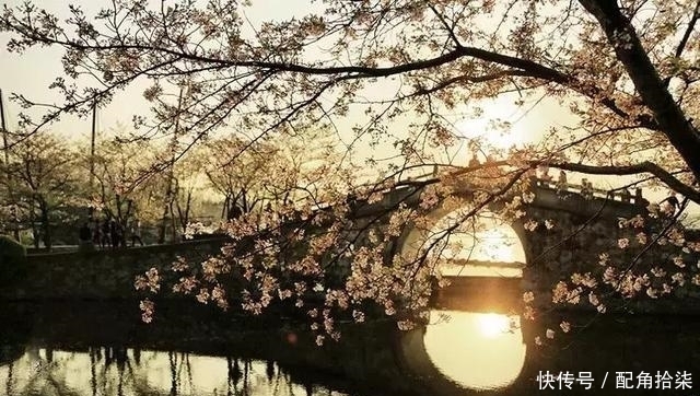  祖先|清明为什么要祭祖？这是我听过最好的答案