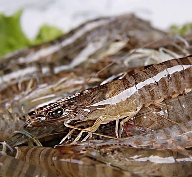 重点|传说中“最有骨气的海鲜”?有多好吃才是重点