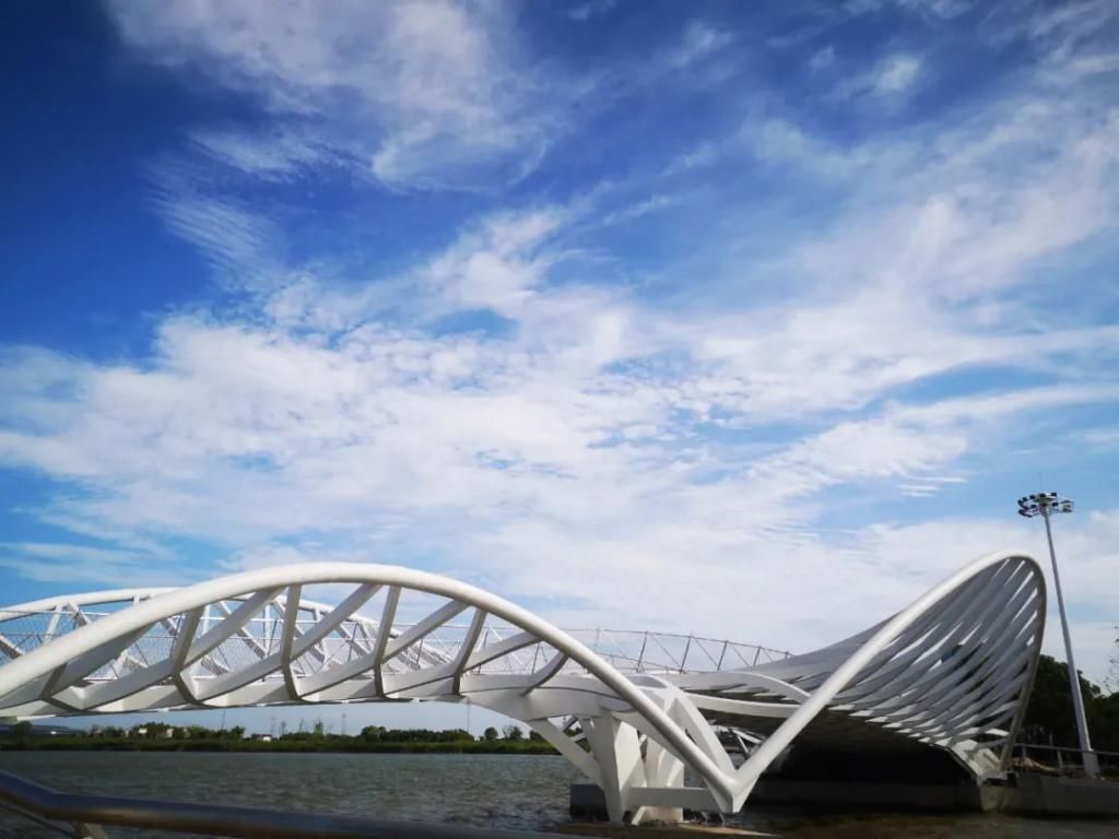 网红|【探索】滴水湖4座“网红”景观桥亮灯啦!快来先睹为快