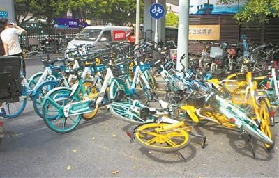 争道|“人、货、车”争道 西堤二马路有点“忙”