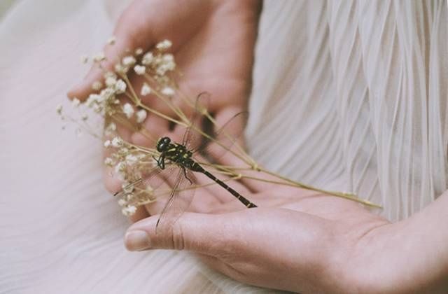  方法|如何拍出人像照片的清新与柔美？这9个方法一定要尝试