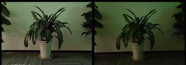  高像素|华为P40 Pro+和三星S20 Ultra：2020上半年度安卓机皇的巅峰对决