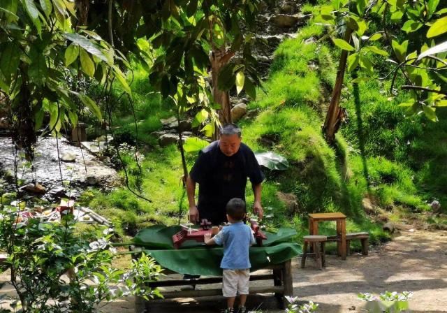  时间|“木虫”钻进互联网