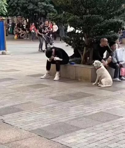 没输|“论家庭地位，我就从来没输过！”哈哈哈算不算给男人长脸了？