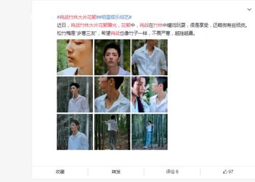  竹子|肖战竹林大片花絮曝光，原来和竹子相关的他，也有个梦想和希望