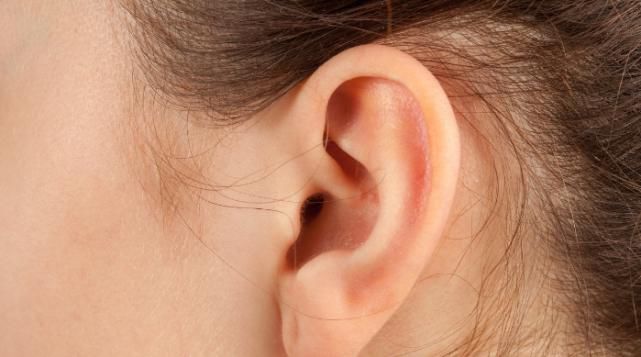 大脑|耳朵大的人易长寿？其实这三类人才会长寿！快来看看，有没有你