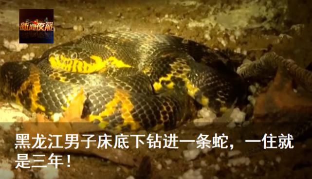  事故发生|一砂石船撞上桥墩，致桥面坍塌！原因初步查明