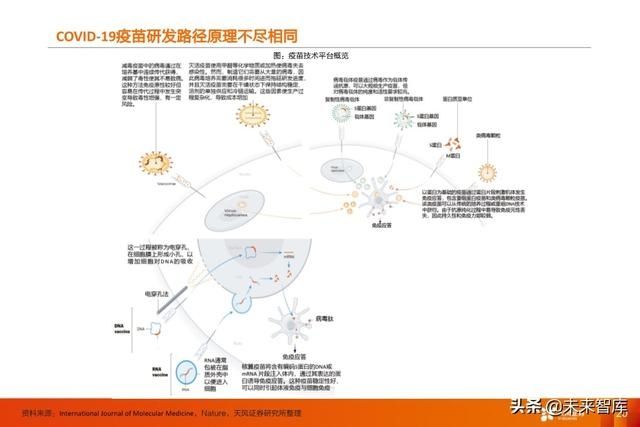 临床试验|疫苗行业深度报告:新冠疫苗谁将拔得头筹