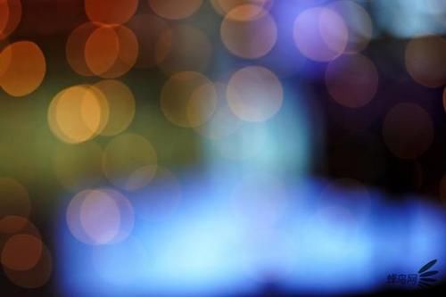  MACRO|“经典”的长焦微距 适马105mm F2.8 DG DN MACRO | Art评测