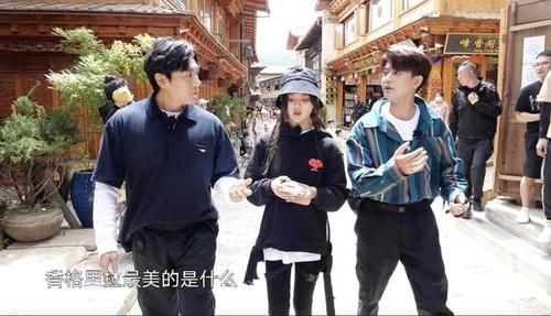 关键|《极挑宝藏行》豆瓣评分8.6,节目重回巅峰,邓伦和任嘉伦成关键