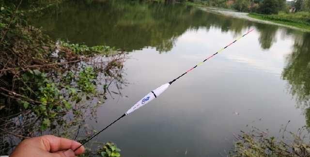  夏天|夏天钓板鲫也不难，滑漂远投钓板鲫实战技巧讲解