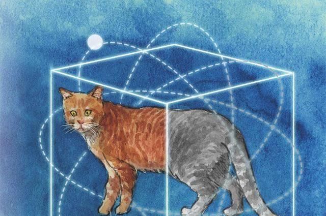 悖论|薛定谔的猫和费米悖论到底是什么?为什么科学家会如此重视