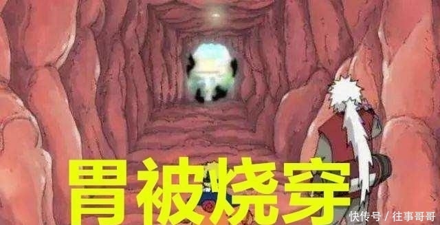 太惨|最惨的几只通灵兽,忍龟被当脚踏板,通信蛤蟆被杀,它:有我惨吗