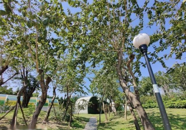  捧上天|鱼龙混杂？被手游党捧上天的新机真有那么香吗？