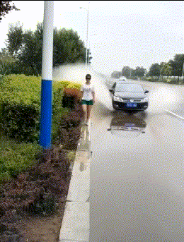  确认|搞笑GIF：确认过眼神，是想啄的人