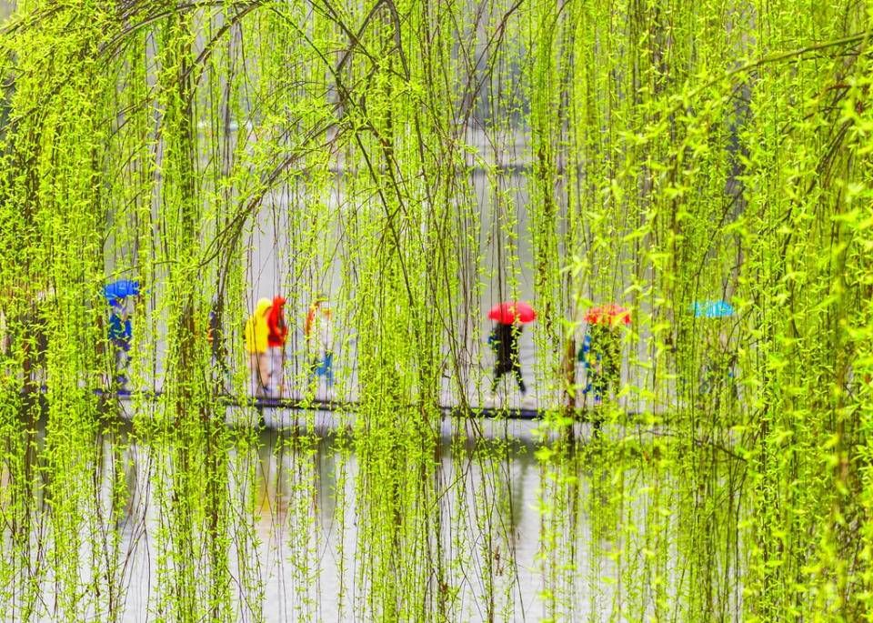 青未了|暮雨滨州