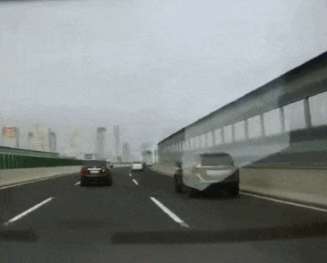  GIF|搞笑GIF：这种品种的西瓜还是第一次见，这是真的小