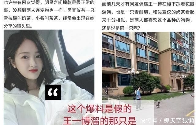  小朋友|王一博遛狗被传与吴宣仪绯闻,天天向上预告实锤狗是导演家的