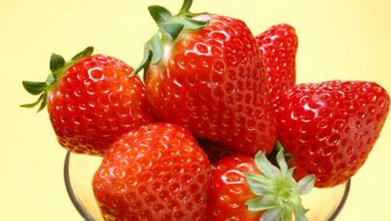  水果|草莓苗被称作“水果皇后”，大家对于他的禁忌了解多少，进来看看
