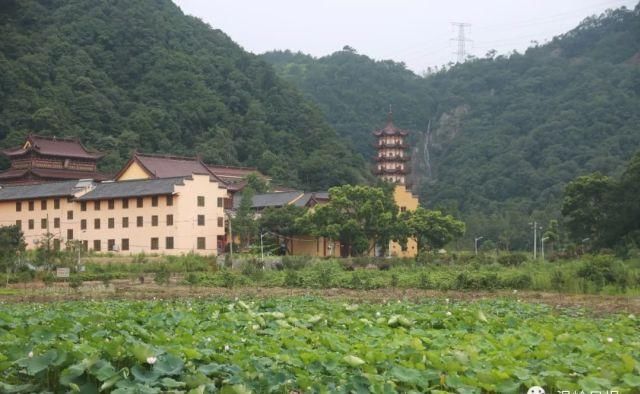  普济寺|“温岭第一瀑”就在这个A级景区村，特产山市小刀名气大