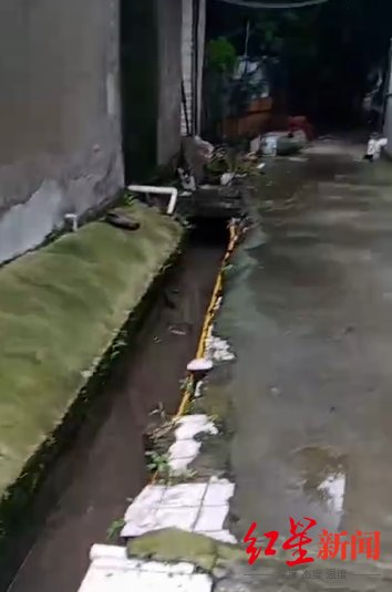  立案侦查|四川新都5岁男童失联8天曾进入监控盲区 警方：已立案侦查