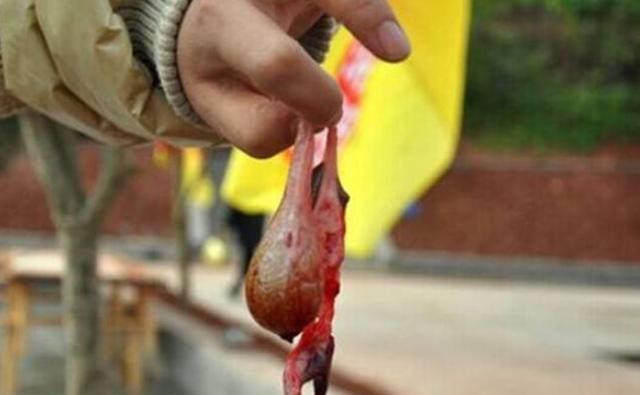 生活|农村俗语:四大苦、四大累、四大酸,都是啥?老祖宗的生活经验