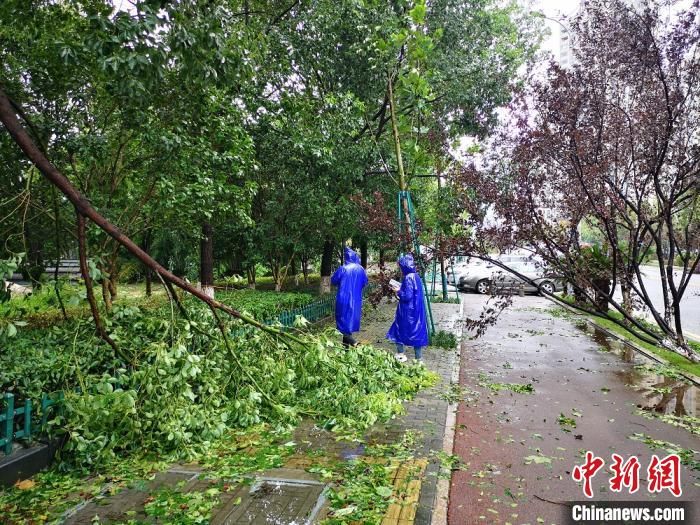 黑格|直击“黑格比”登陆地：积水过大腿 市民不同程度受灾