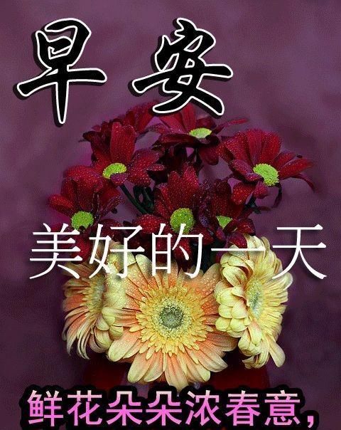  学会坦然|做粥要放三分米，七分水；处事要三分为己，七分为人，早安