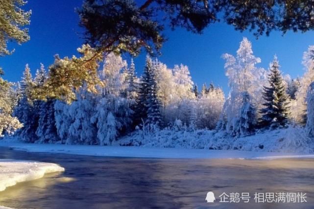 飙升|八月开始,贵人指点,财运一路飙升,财神关照的生肖