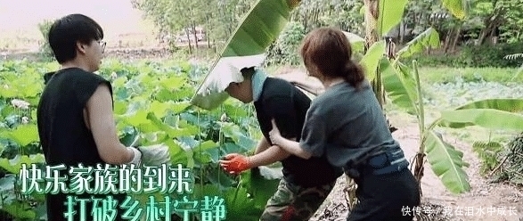 迎来|《向往的生活》迎来最强“关系户”,刚进门就挑剔,黄磊也被嫌弃