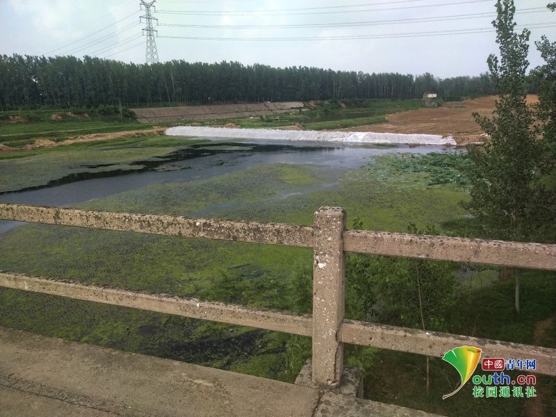 引领|引领绿色理念 探寻河湖艺院学子在行动