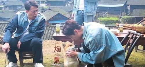  何老师|小O做坏事被黄磊吐槽，有谁注意何炅对小H说的话？堪称爱情宝典！