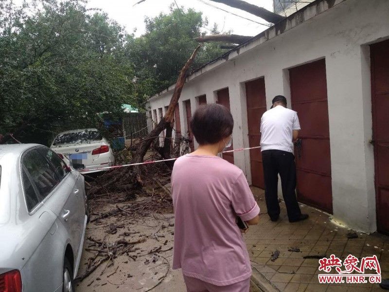  市民|郑州一信号塔基座处塌陷两米深洞　路过市民请注意