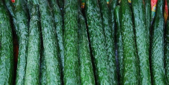  吃不完|巧用三伏天把吃不完的黄瓜晒成干，留着冬天炒肉吃，又香又脆