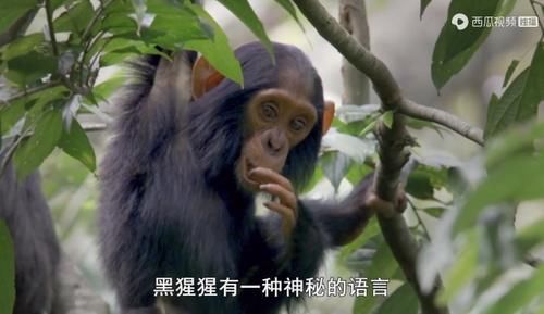  佳作|豆瓣预定超9分的佳作：原来我们错过许多惊喜，真遗憾没早点看到